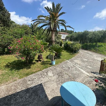 Villa Las Palmas By Nicola Real Estate Corsanico-Bargecchia Экстерьер фото